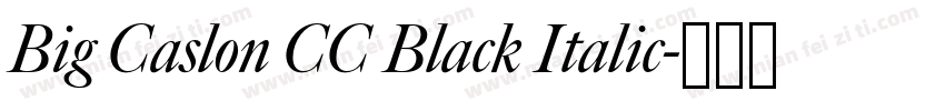 Big Caslon CC Black Italic字体转换
